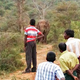 Illustration for article titled Elephant taunting is now a thing in India